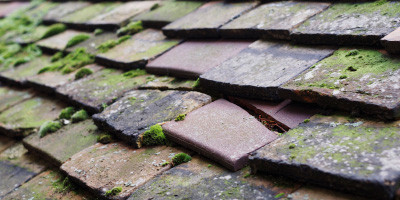 Old Harlow roof repair costs